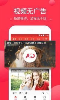 娱乐吃瓜酱蓝莓视频下载